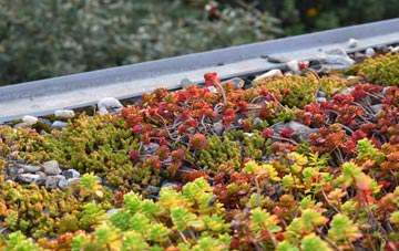 the cost of Monwode Lea green roof installation