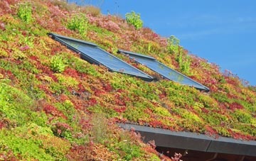 Monwode Lea living roof systems