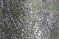 Monwode Lea fibreglass roof work